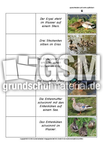 Flip-Flap-Zuordnung-Stockente-lesen 1.pdf